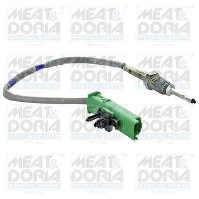 Sensor, exhaust gas temperature
